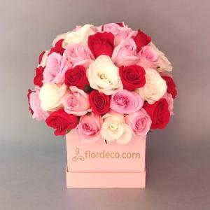 Box roses