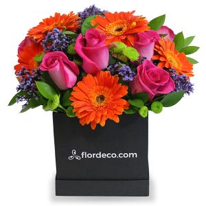 Caja surtida con rosas fiusha y gerberas