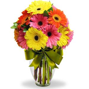 Florero con 30 gerberas surtidas