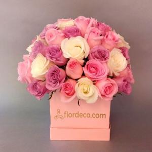 Sweet box roses