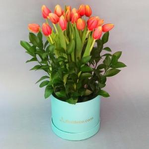 Tiffany box tulips