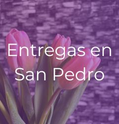 Amor / Aniversario
