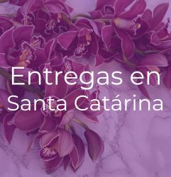 Regalos