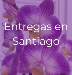 Canastas