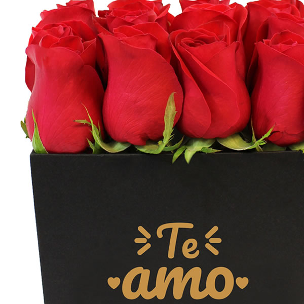 Arreglo en Caja con 16 rosas rojas Te amo 2585