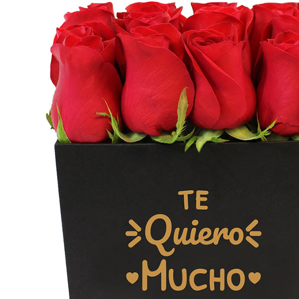 Caja con 16 rosas rojas y mensaje te amo 2603