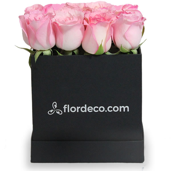 Caja con 16 rosas rosa 2488