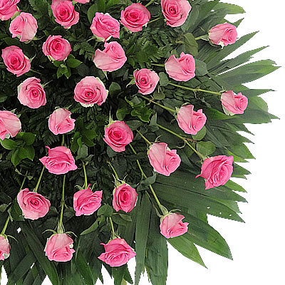 Sympathy Roses 2397