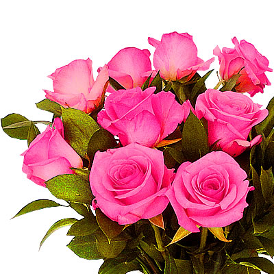 12 rosas fucsia,? en jarron 2270