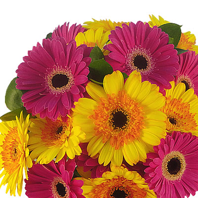 Gerberas combinadas en jarron 2316