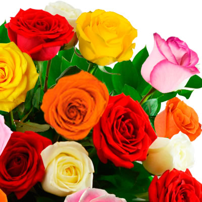 24 rosas de colores en florero 2292