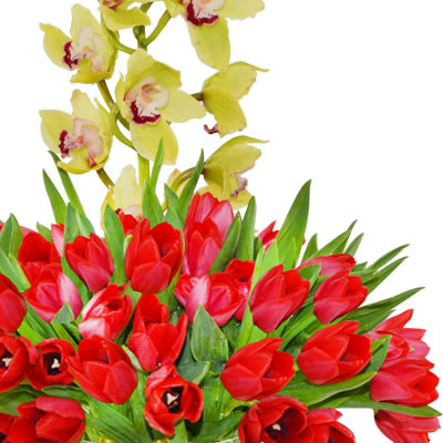 Florero con 50 tulipanes rojos y orquidea cymbidium 2446