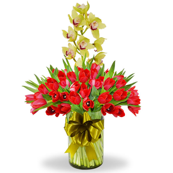 Florero con 50 tulipanes rojos y orquidea cymbidium 2445