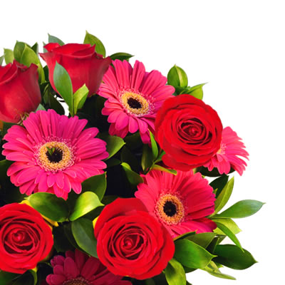 Rosas rojas y gerberas fiusha en florero 2327