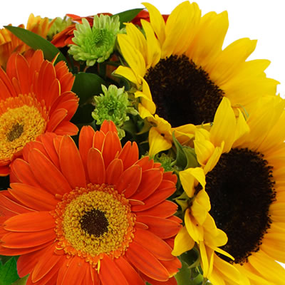 Girasoles y gerberas naranja en florero 2369