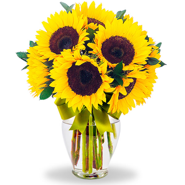 Florero con girasoles 2370