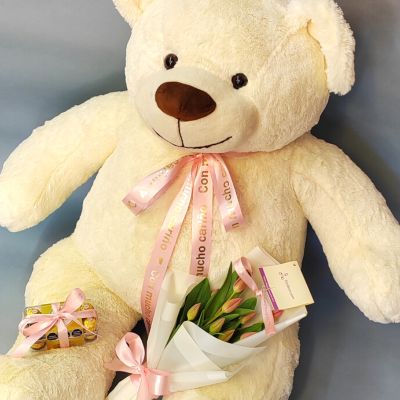 Oso gigante con tulipanes y chocolates 3456